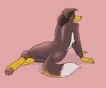  anthro arandomdog blue_eyes border_collie butt canine dog eliza female hair hindpaw looking_at_viewer mammal mature mistresssparkles nude paws pinup pose sitting thighs tricolor wide_hips 