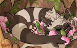  blitzdrachin feral fluffy furret heartberry nintendo paws pecha_berry pok&eacute;mon pok&eacute;mon_(species) sleeping solo tree video_games 