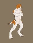  balls beagle canine claws crossed_arms dog male mammal mistresssparkles nude plain_background provolvere sheath solo standing tongue tongue_out 