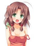  :d ahoge animal_ears asa_no_ha blush brown_hair collarbone dog_ears fang green_eyes hair_bobbles hair_ornament off_shoulder open_mouth original simple_background smile solo turtle upper_body white_background 