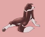  border_collie canine dog female hindpaw mammal mistresssparkles nude paws smile solo 