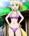  :d animal_ears bikini blonde_hair blush breasts cleavage dog_days flower fox_ears fox_tail green_eyes hair_ribbon highres large_breasts navel non-web_source open_mouth ponytail ribbon screencap side-tie_bikini smile solo stitched swimsuit tail third-party_edit yukikaze_panettone 
