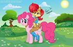  blue_eyes chipmunk crossover cutie_mark equine female feral flower forest friendship_is_magic hair horse mammal my_little_pony navel outside pink_hair pony red_hair rodent sally_acorn sallyhot sega smile sonic_(series) sun tattoo tree wood 