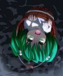  adda bucket green_eyes green_hair hair_bobbles hair_ornament in_bucket in_container kisume lowres open_mouth short_hair solo touhou twintails upside-down wooden_bucket 