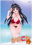  antenna_hair beach bent_over bikini black_hair blush breasts cleavage collarbone cover covered_nipples dvd_cover hand_on_own_thigh highres kanokon large_breasts long_hair minamoto_chizuru no_nose non-web_source official_art smile solo swimsuit takami_akio thigh_gap wide_hips 
