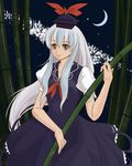  bamboo bamboo_forest blue_hair forest hat kamishirasawa_keine long_hair nature neio ribbon solo touhou 