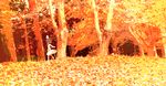  autumn inaba_tewi nature scenery solo touhou walking yoshioka_yoshiko 