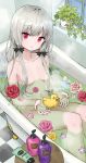  1girl ama-tou bath bathtub blush bottle breasts checkered checkered_floor collarbone eyebrows_visible_through_hair flower from_above hair_censor head_tilt long_hair looking_at_viewer navel nude official_art parted_lips petals plant potted_plant red_eyes rubber_duck silver_hair sitting small_breasts solo sophie_twilight steam tonari_no_kyuuketsuki-san water window 