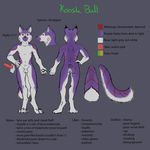  anthro butt color erection feline flaccid fur knot koosh koosh-ball lynx malamute male mammal model_sheet nude penis purple purple_fur sheath sheet solo steggy 