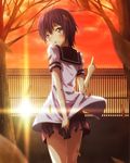  :o autumn autumn_leaves brown_eyes fence funami_yui leaf lens_flare looking_back nanamori_school_uniform pointing pointing_up purple_hair red_sky school_uniform serafuku shirt_lift short_hair skirt skirt_tug sky solo sun sunset tree wind wind_lift xxxx yuru_yuri 