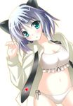  animal_ears aqua_eyes bad_id bad_pixiv_id blush cat_ears chester_(subculturetv) collarbone dress_shirt grey_hair midriff navel necktie open_clothes open_shirt panties parted_lips sanya_v_litvyak shirt solo strike_witches underwear world_witches_series 