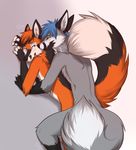  &lt;3 anthro blue_eyes blue_hair blush canine couple cuddling cute duo eye_contact fluffy_tail fox fur gay green_eyes grey_fur hair itsukine keihound looking_back lying male mammal nude on_front orange_fur orange_hair takum 