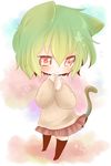  animal_ears chibi green_hair highres kazami_yuuka red_eyes shii_(cocoa) skirt solo tail tears touhou 