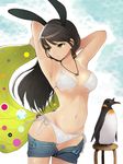  animal_ears armpits arms_up bikini bird black_hair breasts bunny_ears chair cleavage green_eyes hareno_chiame holding jewelry long_hair medium_breasts navel necklace original outstretched_arms parted_lips pendant penguin short_shorts shorts shorts_pull side-tie_bikini solo sunglasses swimsuit tan tanline towel unzipped white_bikini 