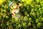  arms_up blue_eyes dress field flower flower_field from_above hand_on_headwear hat highres jewelry looking_at_viewer looking_up lost_and_found_(vocaloid) necklace rapeseed_blossoms sleeveless sleeveless_dress smile solo sun_hat vocaloid william_chacha 