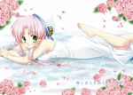  aria ayase_miyuki barefoot flower green_eyes hair_tubes hat lying mizunashi_akari on_stomach petals pink_hair rose sidelocks solo 
