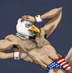  avian beak bow_tie costume eagle flag for_a_head human hybrid male mammal muscles solo speedo swimsuit topless trainedbroffesional underwear underweard 