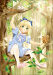  bad_id bad_pixiv_id bird bird_nest blonde_hair border bow dress green_eyes grin hair_bow holding in_tree long_hair looking_at_viewer mary_janes nakahara_(fukufuku) nut_(food) original pantyhose shoes sitting sitting_in_tree smile solo squirrel tree 