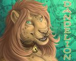  blue_eyes collar dandelion feline lion male mammal rukis solo 