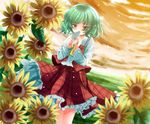  ascot blush cloud dusk flower green_hair kazami_yuuka letter long_sleeves oumi_hi plant red_eyes short_hair sky solo standing sunflower touhou 