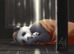  2010 anhes indoor lying morning panda sleeping solo stuff 