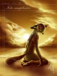  2008 anhes canine female fennec fox nude seaside solo sunset 