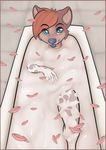  canine cub cum cum_bath cumbath cute dog female flower_petals looking_at_viewer mammal nude solo tongue tongue_out vannie vannie_(character) water young 