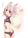  animal_ears ass back black_panties bunny_ears bunny_tail crop_top highres lace lace-trimmed_panties looking_at_viewer looking_back midriff necktie original panties red_eyes short_hair silver_hair solo standing tail underwear underwear_only v wakatsuki_you 