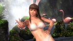  1girl 3d animal_ears bikini bird blue_eyes bunny_ears dead_or_alive dead_or_alive_5 flamingo fur headband highres hitomi hitomi_(doa) nature official_art pose smile swimsuit tecmo v water waterfall 