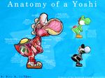  anatomy billysan291 bone egg english_text feral inside internal mario_bros nintendo skeleton solo text video_games yoshi 