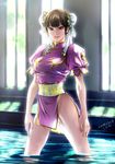  1girl artist_request brown_eyes brown_hair capcom china_dress chinese_clothes chun-li double_bun double_buns dress light pixiv_thumbnail resized short_hair smile solo street_fighter water zaz 