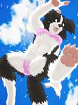  2012 border_collie bra canine dog female fluffy outside panties solo ukabor underwear wet 