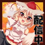  animal_ears bad_id bad_pixiv_id bespectacled blush detached_sleeves glasses hat ikue_fuuji inubashiri_momiji navel open_mouth red_eyes short_hair silver_hair solo stickam tail tokin_hat touhou translated wide_sleeves wolf_ears wolf_tail 