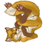  amber_eyes anthro breasts brown_fur butt canine claws digitigrade female fluffy_tail fox fur hindpaw legs_up looking_at_viewer mammal nude paws pira plain_background soles solo toes upside_down white_background 