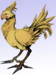  beak bird chocobo echoeternal feral final_fantasy solo video_games 