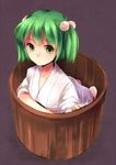  74_(teduka) absurdres bucket green_eyes green_hair hair_bobbles hair_ornament highres in_bucket in_container kisume short_hair solo touhou twintails wooden_bucket 