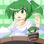  blush breasts bucket cleavage collarbone green_hair hair_bobbles hair_ornament in_bucket in_container kisume long_sleeves medium_breasts multiple_girls open_mouth touhou twintails urushi wide_sleeves wooden_bucket 
