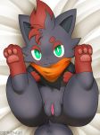  2019 absurd_res anus canine clitoris female feral fur green_eyes grey_fur hi_res looking_at_viewer lying mammal nintendo on_back pawpads paws pok&eacute;mon pok&eacute;mon_(species) presenting presenting_pussy pussy scarf solo spread_legs spreading video_games winick-lim zorua 