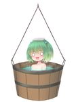  bad_id bad_pixiv_id bathing bucket collarbone green_hair hair_bobbles hair_ornament in_bucket in_container kisume mochi.f o_o open_mouth short_hair solo touhou twintails water white_background 