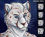  anyare blue_eyes cheetah feline male mammal smile solo 