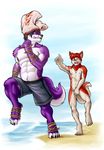  anthro bandanna beach biceps black_hair black_nose blue_eyes bottomless canine cenny claws clothing clothing_accident clothing_malfunction dog duo fangs folf fox fur gay grin hair husky hybrid j-cock male mammal muscles nipples nude open_mouth pants_on_head_crazy pecs pose purple_fur red_fur red_hair rope running sand sea seaside shorts shy shyloc silly smile standing stealing swimsuit tan_fur teeth toe_claws toned tongue topless wardrobe_malfunction water white_fur wolf 