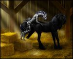  anthro barn bestiality cum equine female feral friesian hay hooves horse interspecies male penis pussy straight zebra 