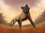  canine female feral field flower johis looking_at_viewer mammal outside solo stare tree wolf wood 