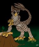  ambiguous_gender avian beak bird catmonkshiro claws grass gryphon nude outside owl scales solo striped stripes stump tree_stump twig yellow_eyes 