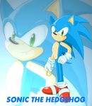  blue_hair deaffinity english_text green_eyes hair hedgehog looking_at_viewer male mammal power_ring ring sega smile solo sonic_(series) sonic_the_hedgehog text 