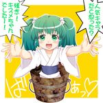  blush bucket green_eyes green_hair hair_bobbles hair_ornament in_bucket in_container kairakuen_umenoka kisume long_sleeves open_mouth outstretched_arms short_hair solo too_bad!_it_was_just_me! touhou translated twintails wide_sleeves 