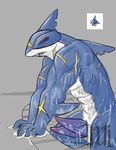  abs anthro biceps erection fish hemipenes illuminatii male marine multi_cock muscles nintendo nude pecs penis pok&#233;mon pok&#233;morph pok&eacute;mon pok&eacute;morph pool shark sharpedo solo video_games water wet 