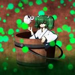  bucket empty_eyes green_eyes hair_bobbles hair_ornament ilk in_bucket in_container kisume long_sleeves short_hair skull smile solo touhou twintails wide_sleeves wooden_bucket 