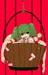  bad_id bad_pixiv_id blood bucket green_eyes green_hair hands highres in_bucket in_container kisume legs open_mouth rope shimana_(cs-ts-az) short_hair solo touhou twintails wooden_bucket 