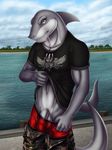  anthro balls boxers clothing dream_and_nightmare fins fish great_white_shark green_eyes grin hi_res looking_at_viewer male marine necklace penis pinup pose presenting shark shirt shirt_lift solo standing underwear undressing 